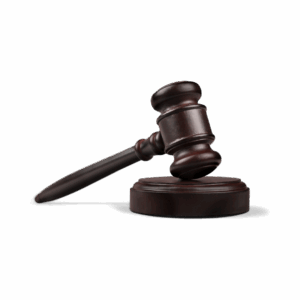 Professional Gavel Set